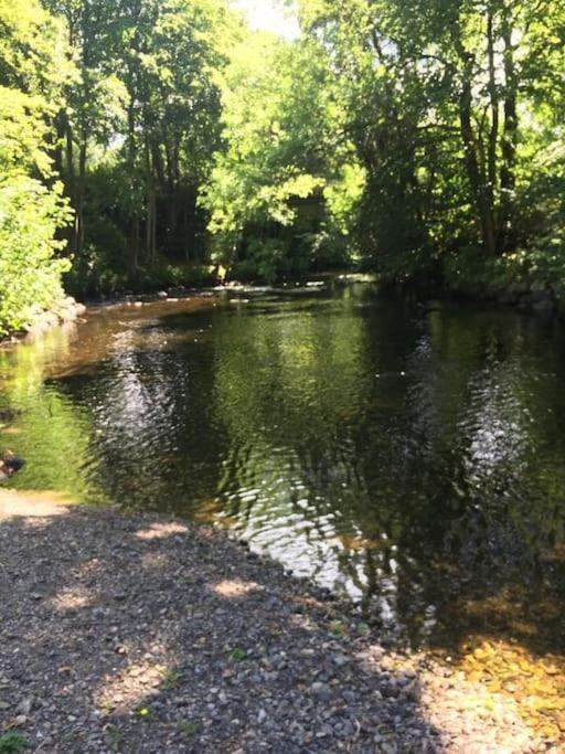 Caeathro Stunning 3 Bed Riverside Cabin In Snowdonia מראה חיצוני תמונה