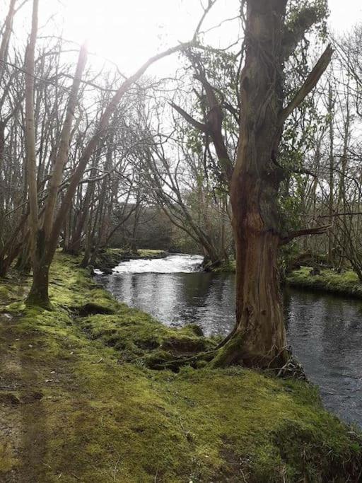 Caeathro Stunning 3 Bed Riverside Cabin In Snowdonia מראה חיצוני תמונה