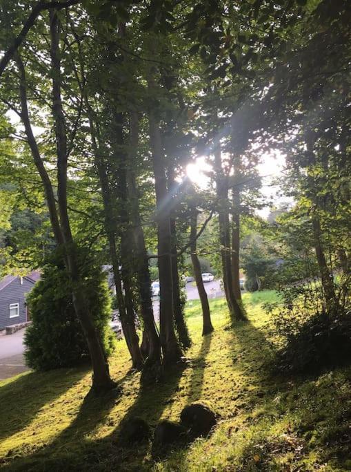 Caeathro Stunning 3 Bed Riverside Cabin In Snowdonia מראה חיצוני תמונה